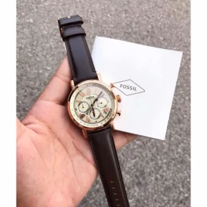 Fossil fs5103